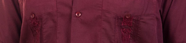 Embroidered Guayabera Top Detail