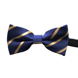 Blue Adjustable Bow Tie With Gold Lines
